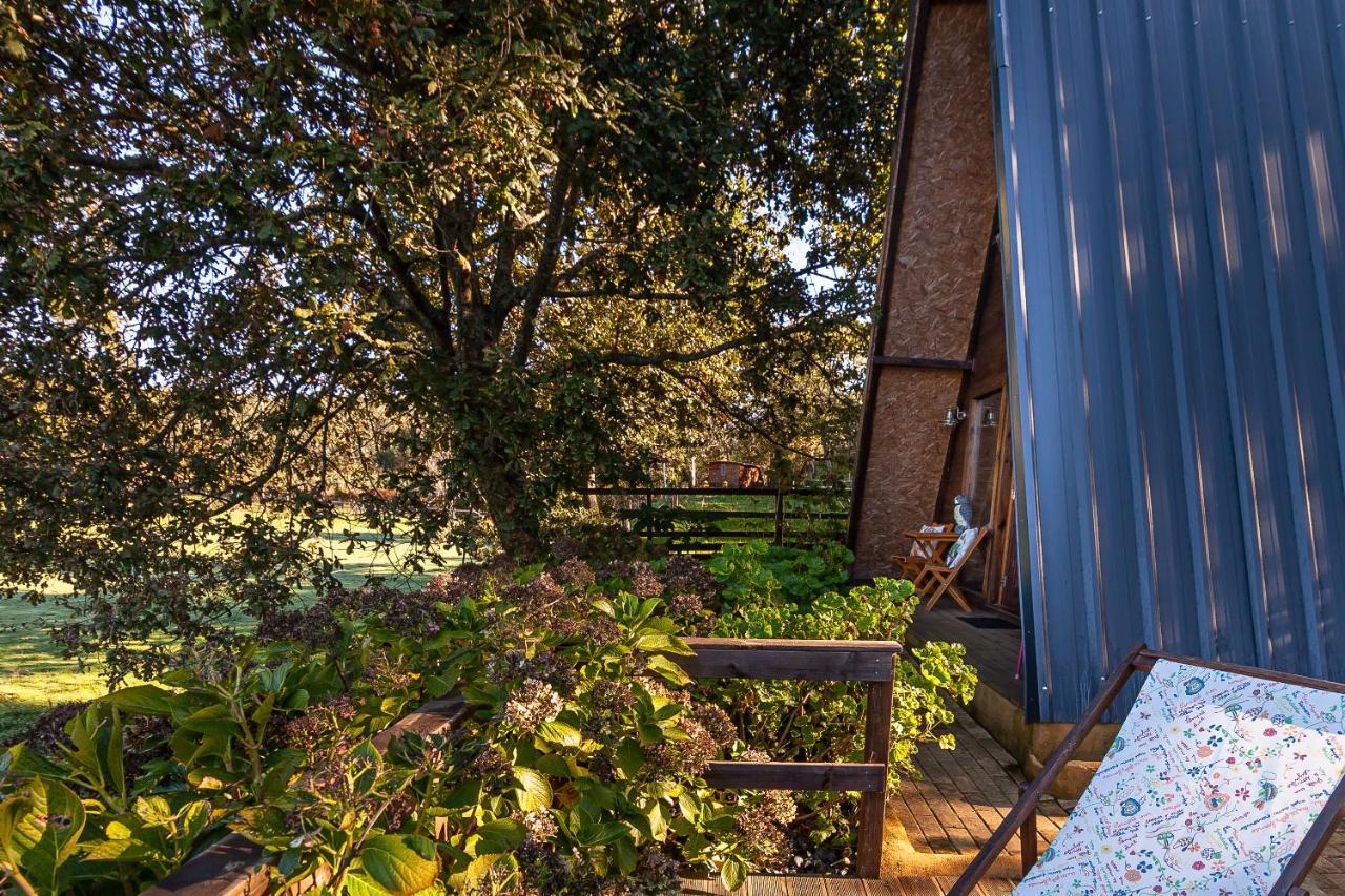 Vale da Silva Villas - Quinta Albergaria-a-Velha Exterior foto